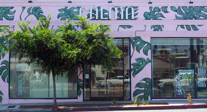 Monstera leaves are painted onto Calma's pink building in West Hollywood on Tuesday, July 24, 2024. Calma stands out in it's drinkable cannabis collection and it innitiative to destigmatize cannabis during the hiring process.