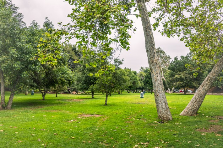 Mineral Wells Picnic Area in Griffith Park. Photo by Jared Cowan for L.A. TACO.