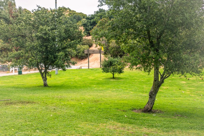 Mineral Well Picnic Area.Photo by Jared Cowan for L.A. TACO.